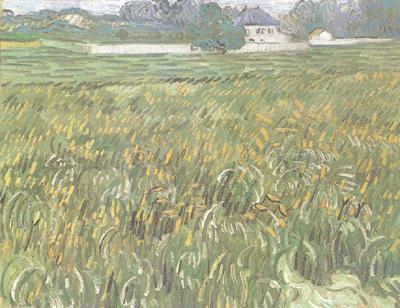Vincent Van Gogh Wheat Field at Auvers with White House (nn04) oil painting image